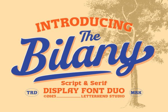The Bilany: A Vintage Font Duo for Bold Design